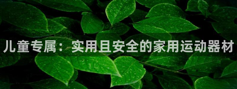 南宫大舞台官方正版app娱乐下载:儿童专属:实用且安全的家用