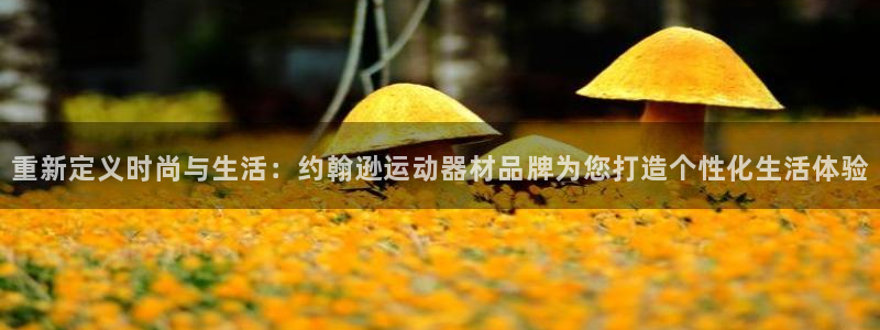 南宫大舞台官网下载开户:重新定义时尚与生活:约翰逊运动器材品