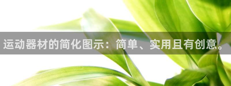 南宫大舞台官方正版app集团官网网址:运动器材的简化图示:简